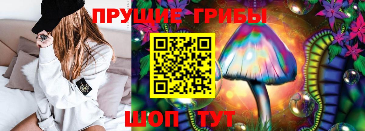 Прокопьевск  Псилоцибиновые грибы мицелий  Вход с VPN  Галлюциногенные грибы GOLDEN TEACHER 